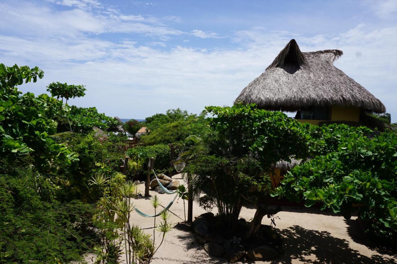 Point Albergue Troncones