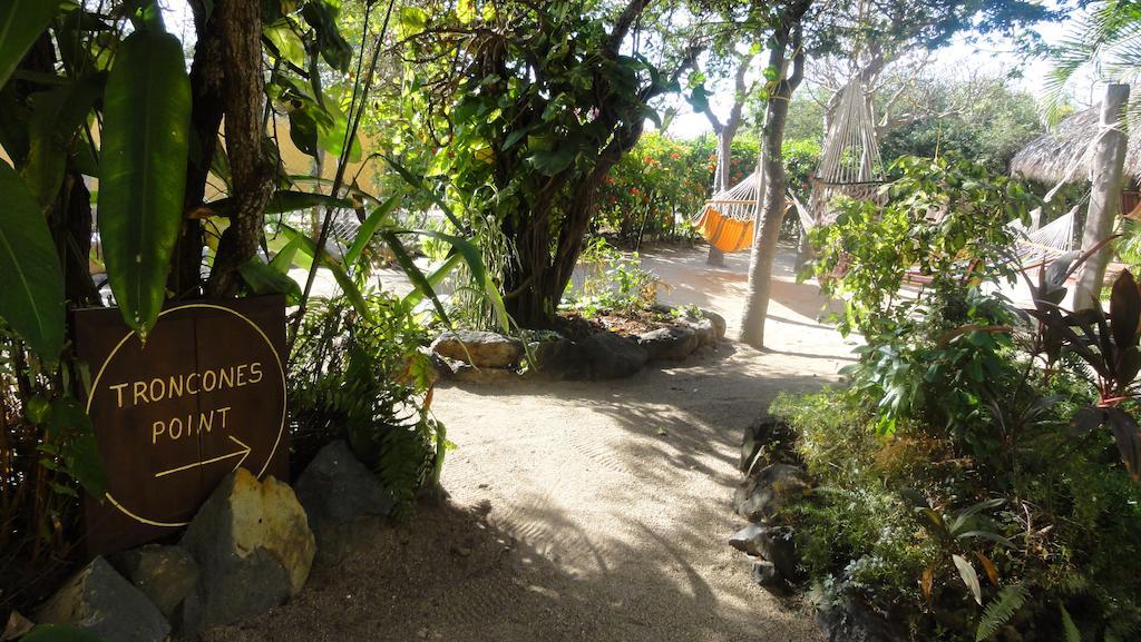 Albergue Point