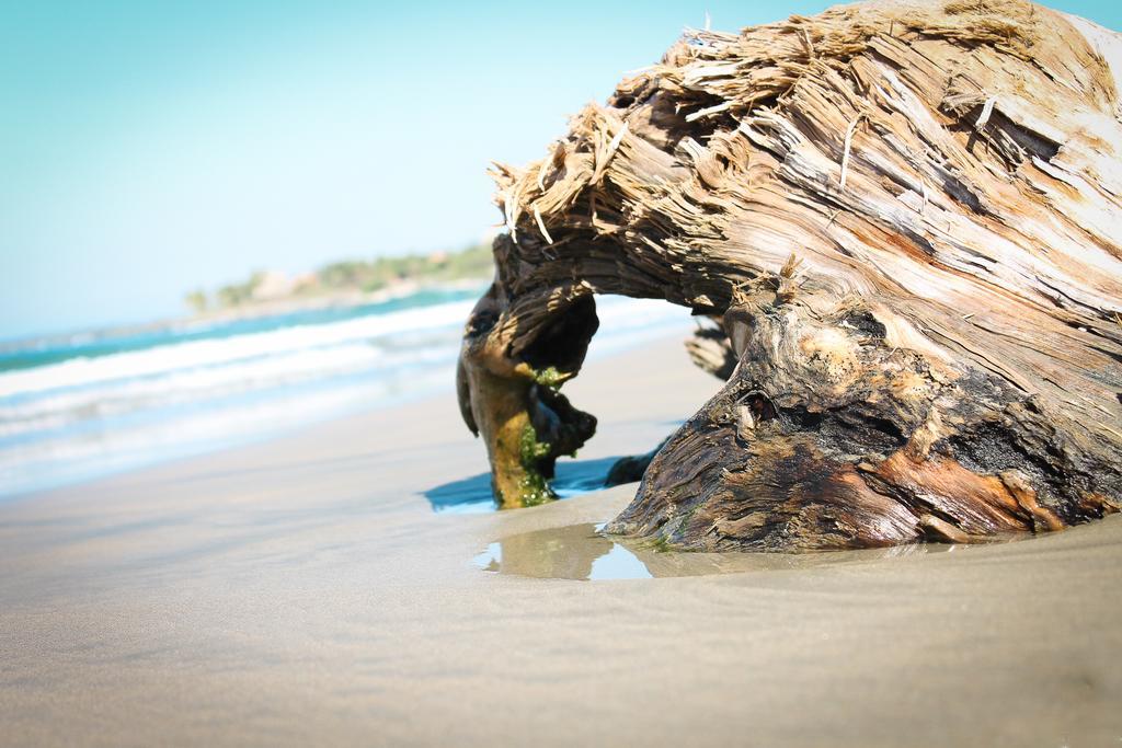 Point Albergue Troncones