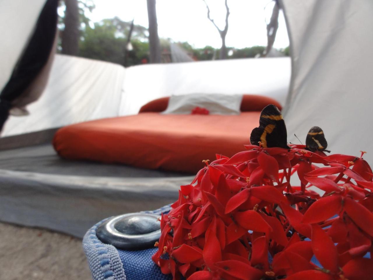 Albergue Point Troncones